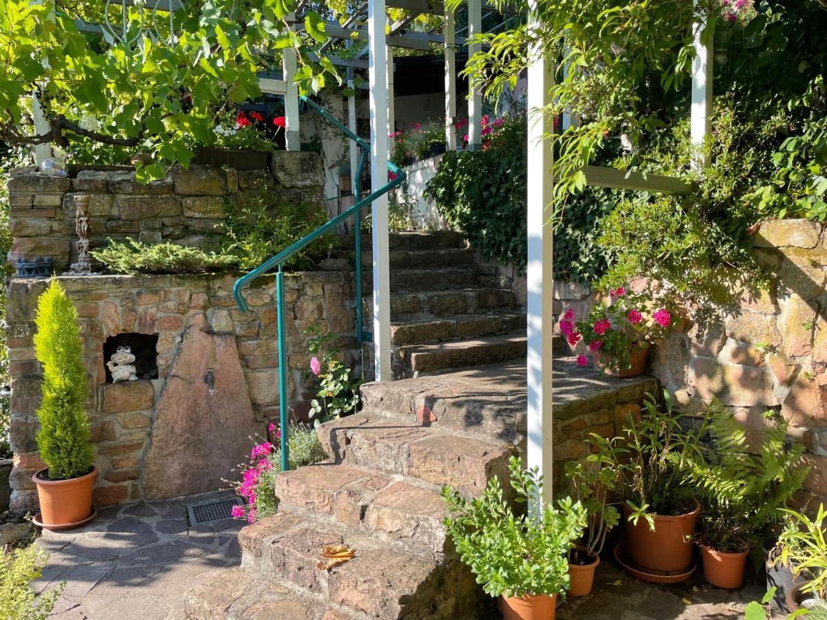 Am Berggarten ไฮเดลเบิร์ก ภายนอก รูปภาพ