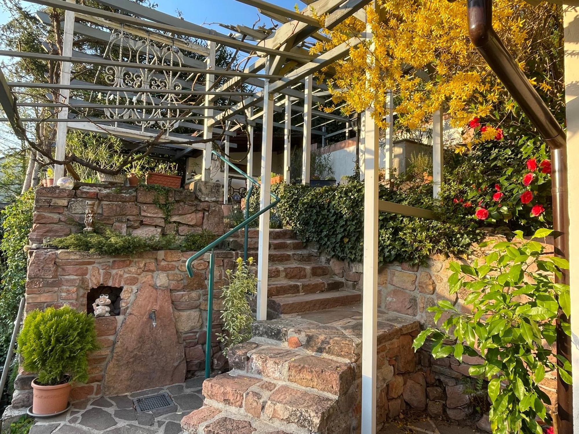 Am Berggarten ไฮเดลเบิร์ก ภายนอก รูปภาพ