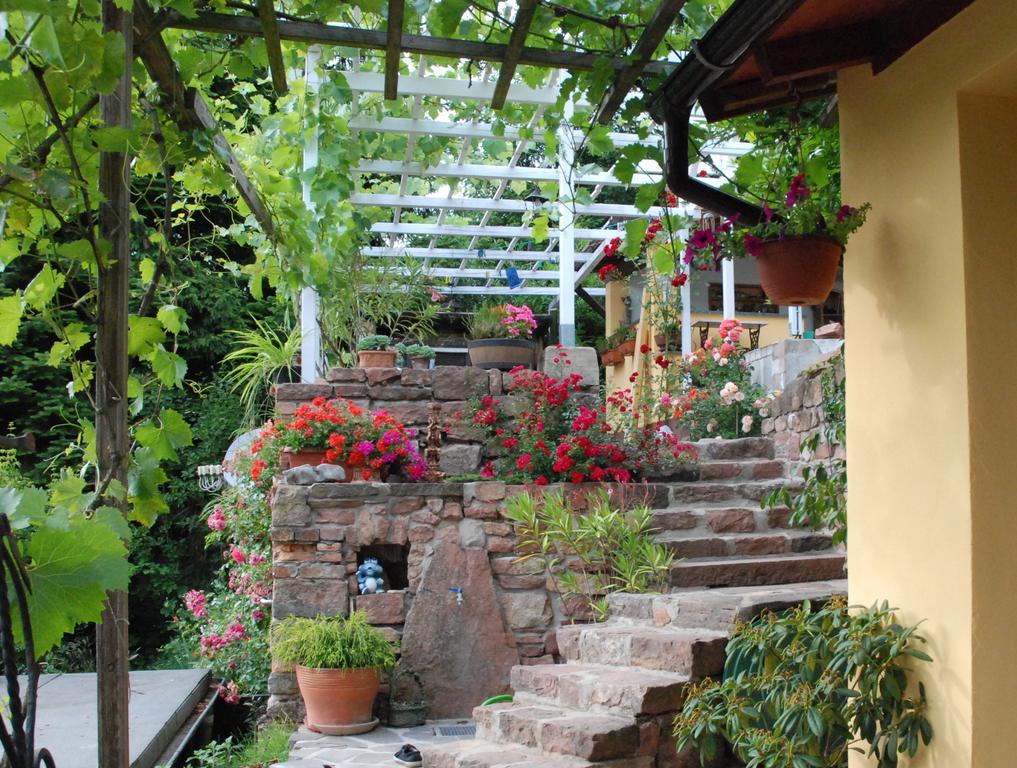Am Berggarten ไฮเดลเบิร์ก ภายนอก รูปภาพ