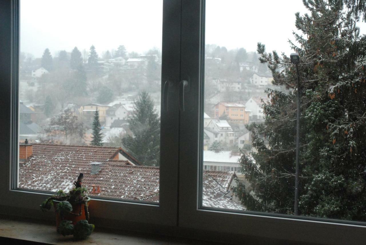 Am Berggarten ไฮเดลเบิร์ก ภายนอก รูปภาพ