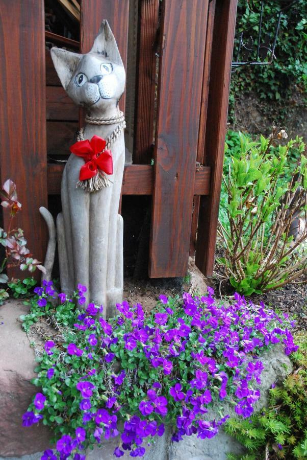 Am Berggarten ไฮเดลเบิร์ก ภายนอก รูปภาพ
