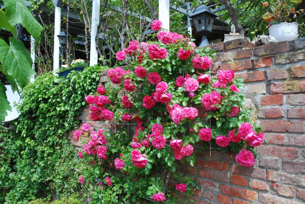 Am Berggarten ไฮเดลเบิร์ก ภายนอก รูปภาพ